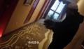 男子入住酒店41天后被发现死于客房 尸体腐烂死因不明