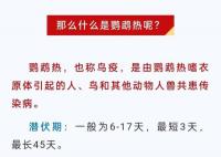 广东一病例高烧不退潜伏45天 鹦鹉热的临床表现是什么