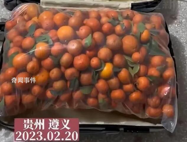 女生带50斤砂糖橘返校全丢了 引发网友关注