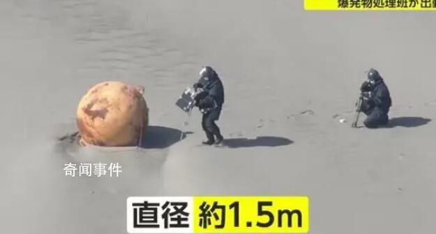 日本海岸现不明球状物:直径1.5米