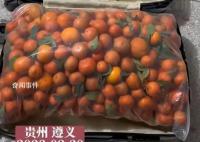 女生带50斤砂糖橘返校结果全丢了 调监控视频调了三个小时都没找到