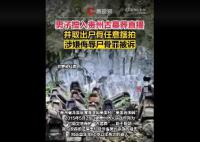 男子擅入古墓并取尸骨摆拍 因涉嫌侮辱尸骨罪被起诉