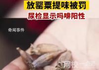 女子宿舍吃火锅放罂粟提味被罚 尿检结果显示吗啡阳性