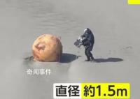 日本海岸现不明球状物:直径1.5米