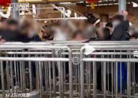 母子插队被阻止反骂游客 景区：会去调查处理