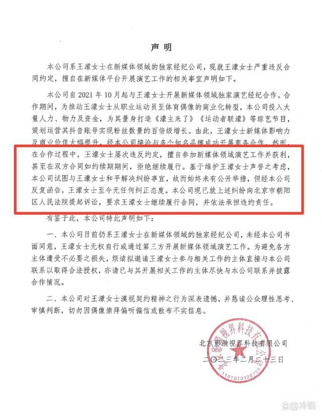 王濛被经纪公司起诉:严重违约