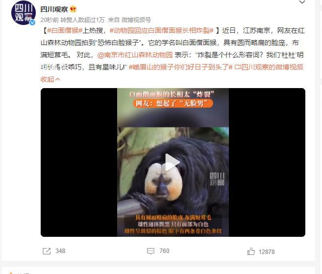 动物园回应白面僧面猴长相炸裂 我们杜杜明明长得很乖巧