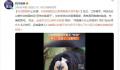 动物园回应白面僧面猴长相炸裂 我们杜杜明明长得很乖巧