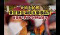 大妈为拍照景区抓住海鸥喂麻花 目击者：抓了2分钟后放开