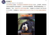 动物园回应白面僧面猴长相炸裂 我们杜杜明明长得很乖巧