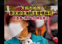 大妈为拍照景区抓住海鸥喂麻花 目击者：抓了2分钟后放开