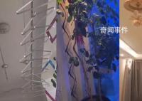 新疆震感现场:居民家植物衣架摇晃