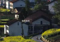 农村也出现恐婚恐育群体 无生育意愿的农村青年比例已经高达27.72%