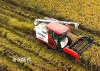 推动农业农村经济持续向好 重点推进三个协同
