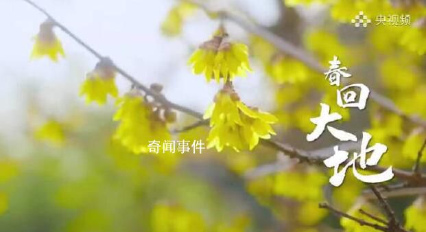 春日里的中国大地色彩斑斓 孕育五谷丰登又一年