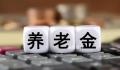 周小川:别认为养老问题还有拖延机会