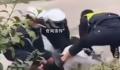 警方回应网传男子被交警踩脸 事件正在调查中