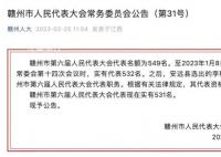 涉嫌猥亵女干部的县长辞去人大代表 调查处理情况将及时向社会公布