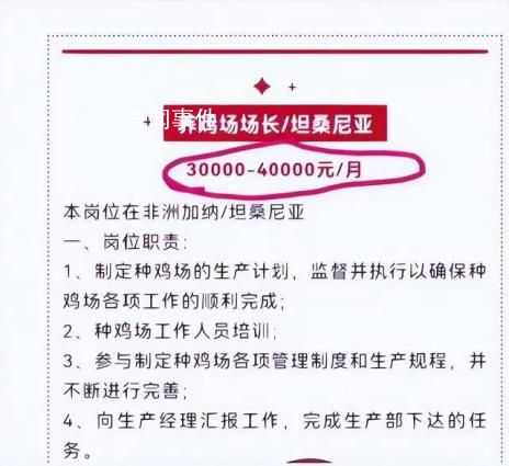 非洲养鸡月薪4万?在非养鸡人揭秘 