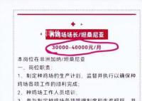 非洲养鸡月薪4万?在非养鸡人揭秘 