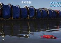 巴西奥运会浮尸事件真相揭秘图片大全 巴西奥运会浮尸事件始末是什么