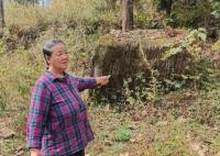 孕妇被拐卖34年儿子带母追责 被告知已过追诉期