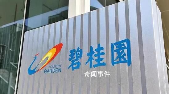 杨惠妍接任碧桂园董事会主席 由2023年3月1日起生效