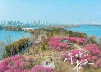 南方多地已经入春 较常年偏早