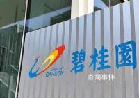 杨惠妍接任碧桂园董事会主席 由2023年3月1日起生效