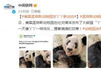动物园发布丫丫最新照片 愿你的一天像丫丫一样快乐