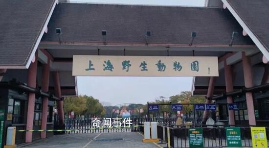 上海野生动物园多次抽查发现问题 这究竟是怎么回事
