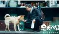 电影《忠犬八公》定档 宣布定档 3月31日全国上映