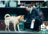 电影《忠犬八公》定档 宣布定档 3月31日全国上映
