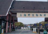 上海野生动物园多次抽查发现问题 这究竟是怎么回事