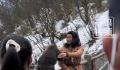 当事人回应和峨眉山猴子练搏击互殴 引发周围游客围观