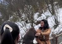 当事人回应和峨眉山猴子练搏击互殴 引发周围游客围观
