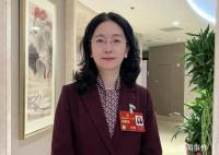 代表建议禁止向未成年提供网游服务 制止未成年人网游的最大难点和困境有哪些