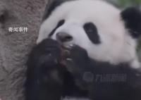 游客认错花花保安大哥幽默喊话 哪有那么多花花
