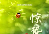 今日惊蛰 春回大地
