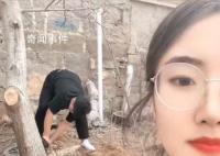 女子算命核桃树挡姻缘家人将树砍掉 网友：如果明年还嫁不出去看你还能怪啥