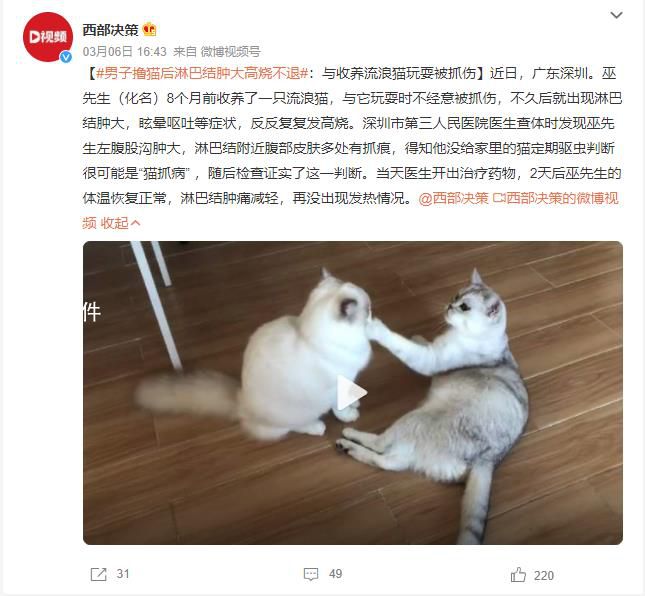 男子撸猫后淋巴结肿大高烧不退 猫抓病会致死吗