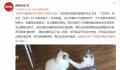 男子撸猫后淋巴结肿大高烧不退 猫抓病会致死吗