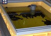 核污水排海或将影响整个生物圈 