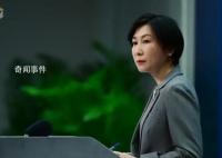 中国捐款保障乌核设施安全 中方回应