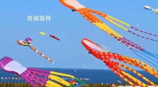 海洋风筝爆火 网友:春天的信号