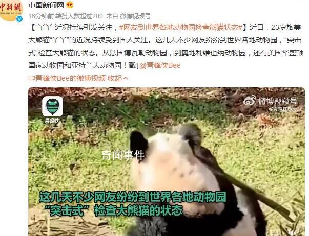 网友突击式检查世界各地大熊猫 这几天不少网友纷纷到世界各地动物园