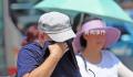 30℃+!郑州怕是着急入夏了 多地可能破记录