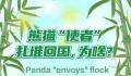 为啥熊猫使者近期扎堆回国 各国为什么愿意租借大熊猫