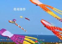 海洋风筝爆火 网友:春天的信号