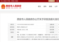 西安流感应急预案:适时社会面管控